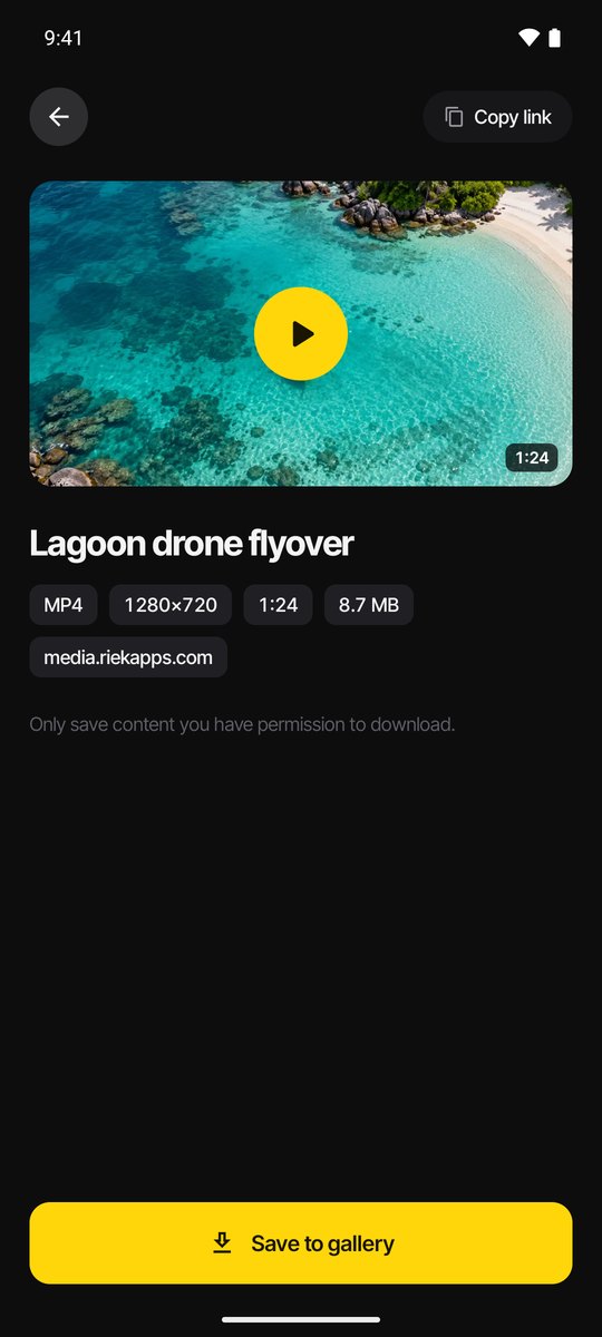 VidSave screenshot 1