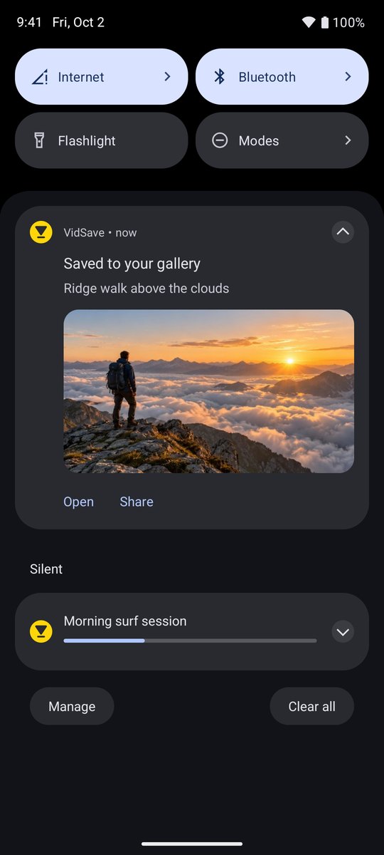 VidSave screenshot 2